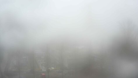 Webcam ACE Amsterdam