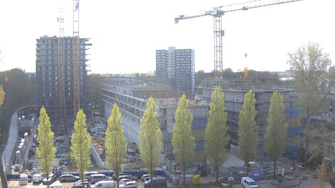 Webcam ACE Amsterdam