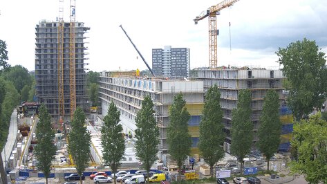 Webcam ACE Amsterdam