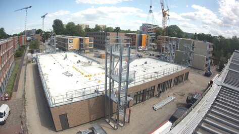 Webcam Dennenrodepad Amsterdam