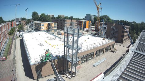 Webcam Dennenrodepad Amsterdam
