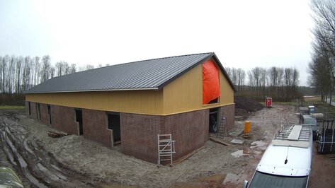 Webcam Gooische Hond Almere