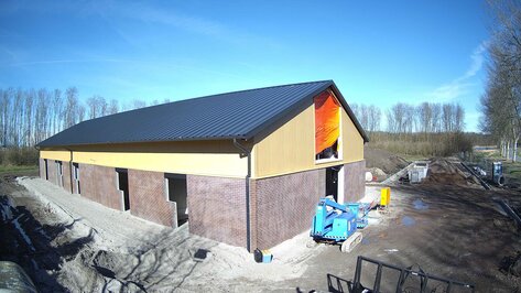 Webcam Gooische Hond Almere