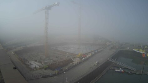 Webcam Mares Den Haag