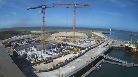 Webcam Mares Den Haag