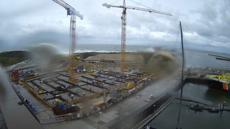 Webcam Mares Den Haag