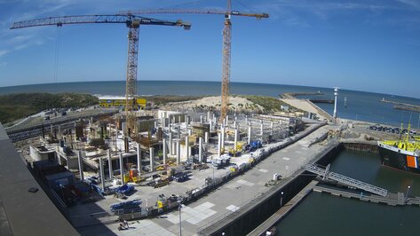 Webcam Mares Den Haag