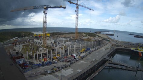 Webcam Mares Den Haag
