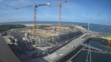 Webcam Mares Den Haag